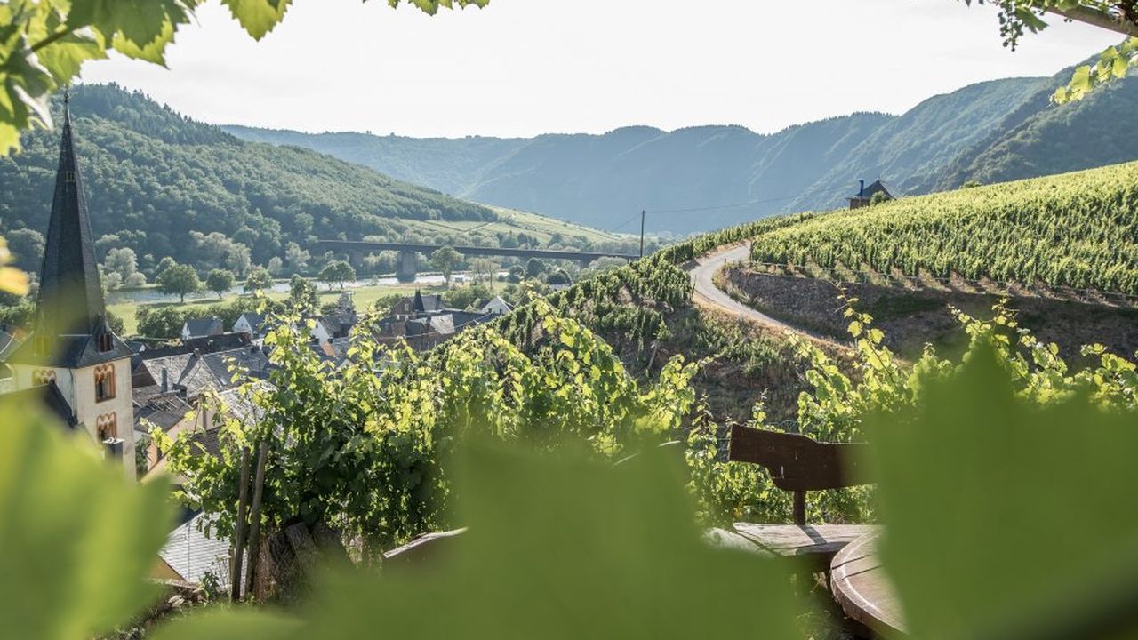 Blick auf die Weinberge Blick auf die Weinberge